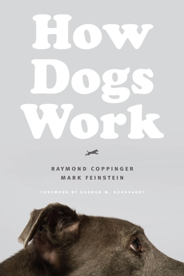 How Dogs Work - Raymond Coppinger - Mark Feinstein