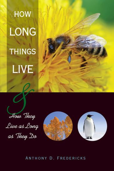 How Long Things Live - Anthony D. Fredericks