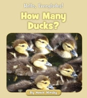 How Many Ducks?