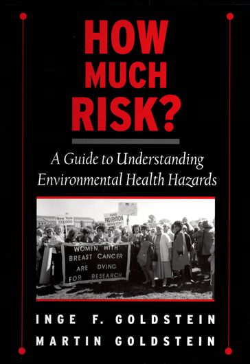 How Much Risk? - Inge F. Goldstein - Martin Goldstein