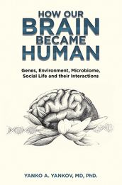 How Our Brain Became Human