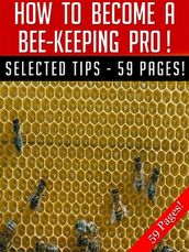 How To Become A Bee-Keeping Pro!