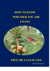 How To Know Whether You Are Living a True or False Life