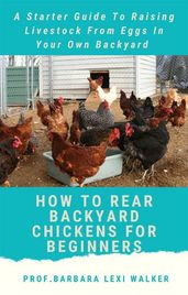 How To Rare a Backyard Chicken For Beginners