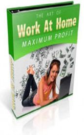 How To Work At Home For Maximum Profits