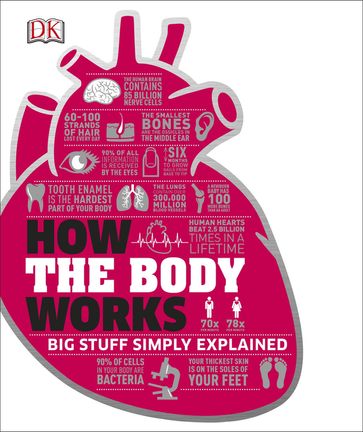 How the Body Works - Dk