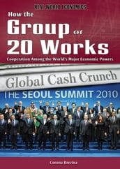 How the Group of 20 Works