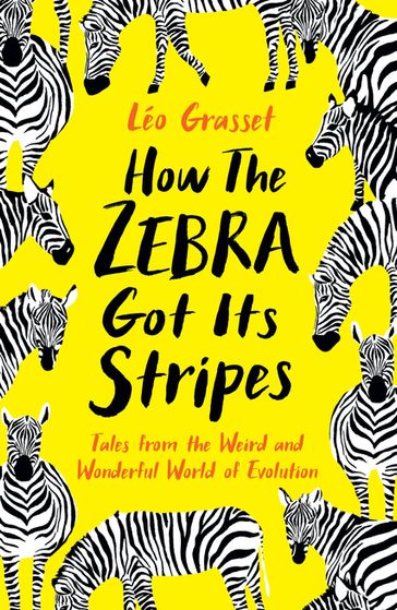 How the Zebra Got its Stripes - Léo Grasset