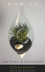 How to... Air Plant and Succulent Terrariums