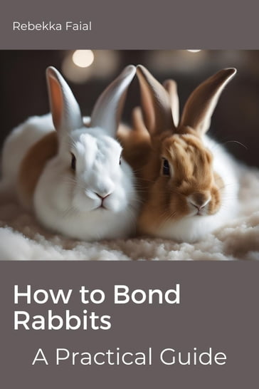 How to Bond Rabbits: A Practical Guide - Rebekka Faial
