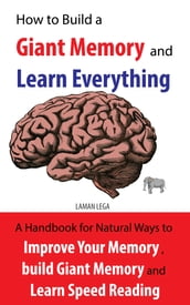 How to Build a Giant Memory and Learn Everything