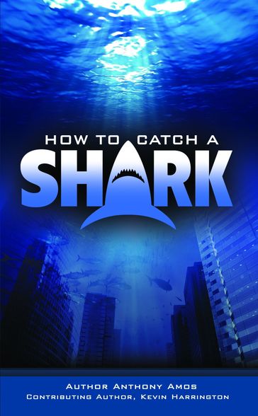 How to Catch a Shark - Anthony Amos