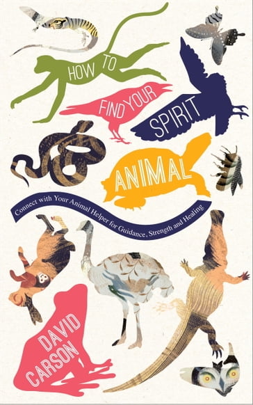 How to Find Your Spirit Animal - David Carson