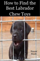 How to Find the Best Labrador Chew Toys