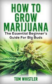 How to Grow Marijuana : The Essential Beginner s Guide for Big Buds