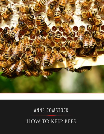 How to Keep Bees - Anna Botsford Comstock
