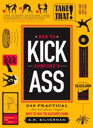 How to Kick Someone's Ass - E.R. Silverman