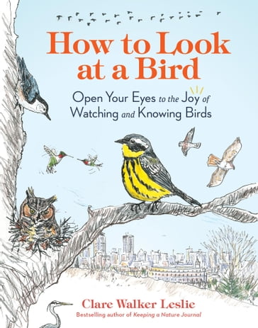 How to Look at a Bird - Clare Walker Leslie