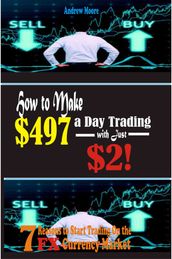 How to Make $497 a Day Trading E-Currency with Just $2