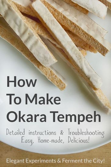 How to Make Okara Tempeh: Detailed instructions & Troubleshooting - Easy, Home-made, Delicious! - Elegant Experiments