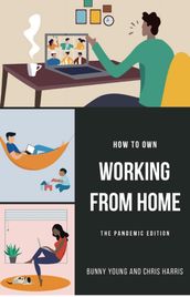 How to Own Working From Home