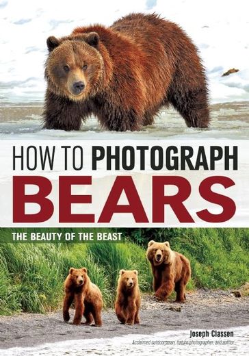 How to Photograph Bears - Joseph F. Classen