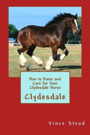 How to Raise and Care for Your Clydesdale Horse - Vince Stead