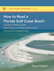 How to Read a Florida Gulf Coast Beach