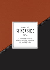 How to Shine a Shoe