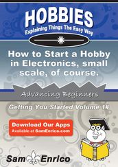 How to Start a Hobby in Electronics - small scale - of course.