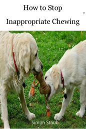 How to Stop Inappropriate Chewing