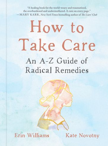 How to Take Care - Erin Williams - Kate Novotny
