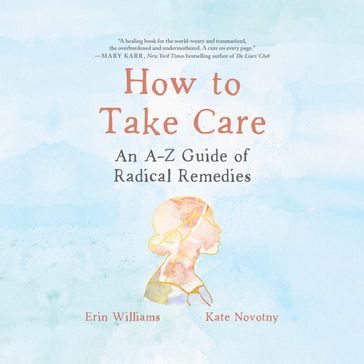 How to Take Care - Erin Williams - Kate Novotny