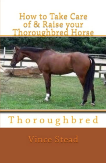 How to Take Care of & Raise your Thoroughbred Horse - Vince Stead