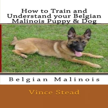 How to Train and Understand your Belgian Malinois Puppy & Dog - Vince Stead