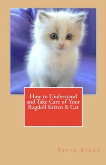 How to Understand and Take Care of Your Ragdoll Kitten & Cat - Vince Stead