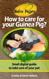 How to care for your Guinea Pig?