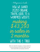 How we gained 20,283 organic traffic users to a WordPress website making $43,293 in sales in 2 months with this 1 trick