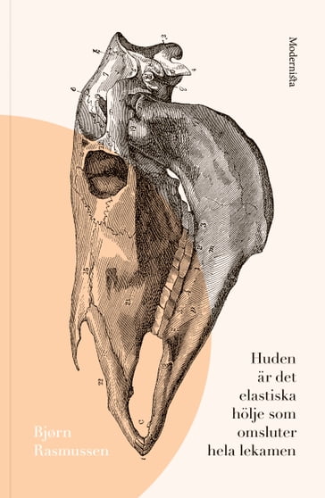 Huden är det elastiska hölje som omsluter hela lekamen - Bjørn Rasmussen - Lars Sundh - Rasmus Pettersson