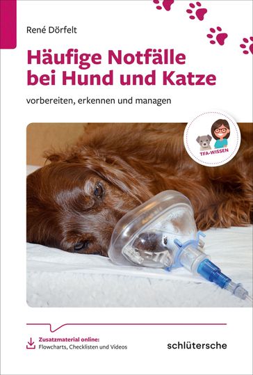 Häufige Notfälle bei Hund und Katze - René Dorfelt