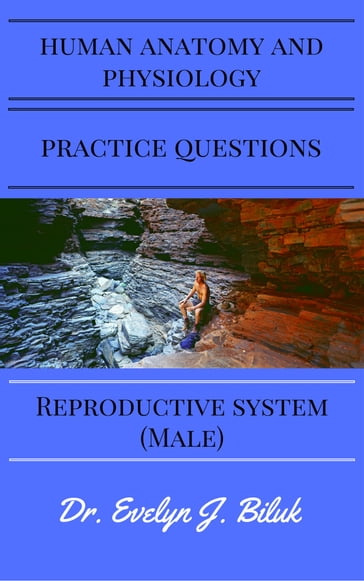 Human Anatomy and Physiology Practice Questions: Reproductive System (Male) - Dr. Evelyn J Biluk
