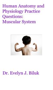Human Anatomy and Physiology Practice Questions: Muscular System