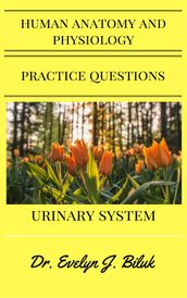 Human Anatomy and Physiology Practice Questions: Urinary System