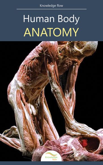 Human Body Anatomy - Knowledge flow