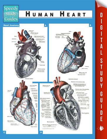 Human Heart (Speedy Study Guides) - Speedy Publishing