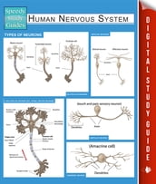 Human Nervous System (Speedy Study Guides)