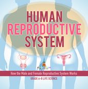 Human Reproductive System   How the Male and Female Reproductive System Works   Grade 6-8 Life Science