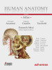 Human anatomy. Atlas. Con Contenuto digitale per accesso on line. Vol. 2