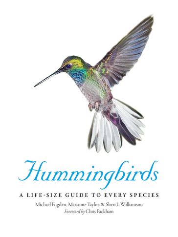 Hummingbirds - Michael Fogden - Marianne Taylor