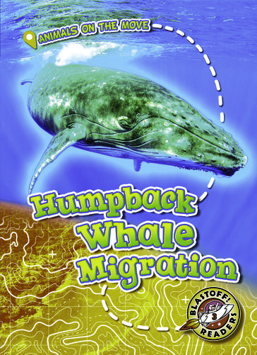 Humpback Whale Migration - Kari Schuetz